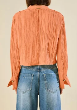 Blusa Morena Rosa Ajustada Decote V Manga Longa Padrão Marrom