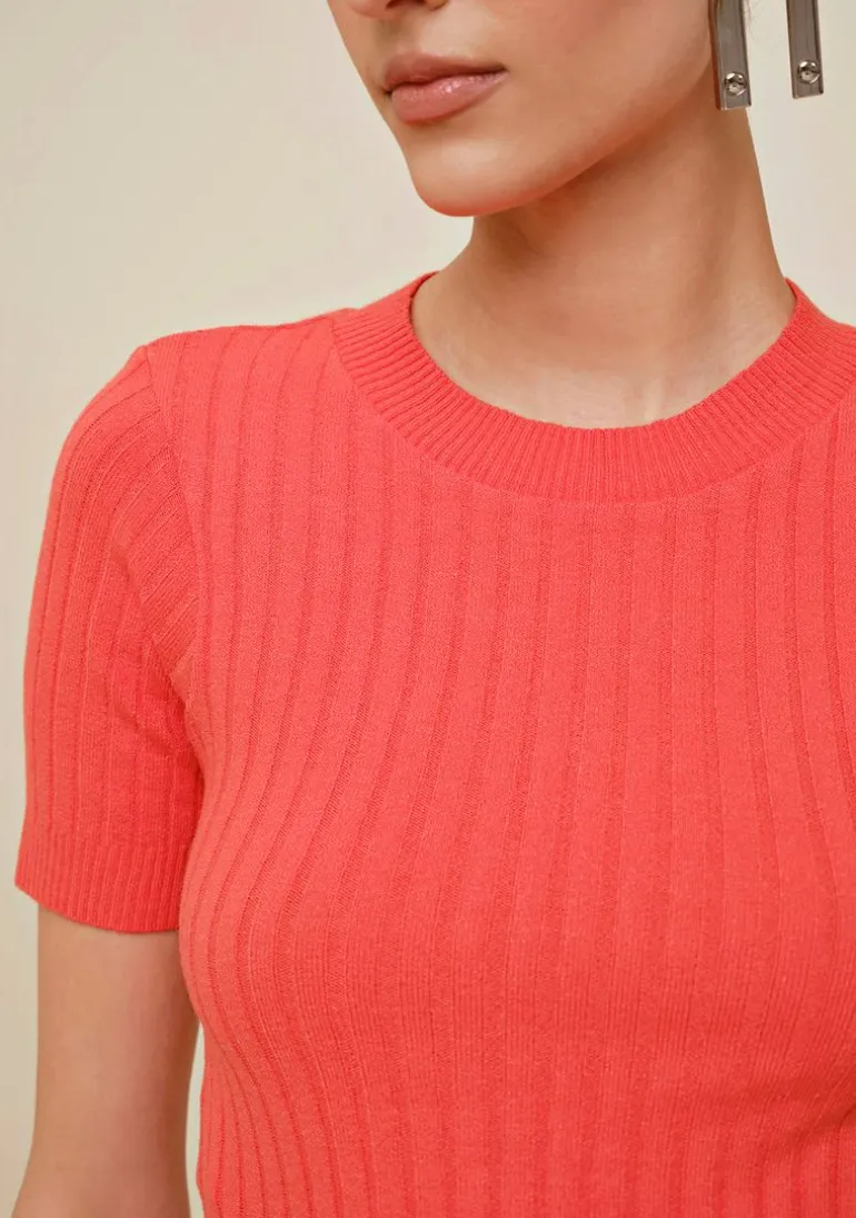 Blusa Morena Rosa Decote Redondo Manga Curta Tricôt Laranja
