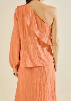 Blusa Morena Rosa Solta Um Ombro Só Manga Longa Padrão Marrom
