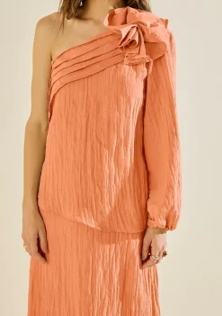Blusa Morena Rosa Solta Um Ombro Só Manga Longa Padrão Marrom